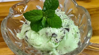 SIMPLE Mint Chocolate Chip IceCream Recipe Quick amp Easy [upl. by Nnairahs429]