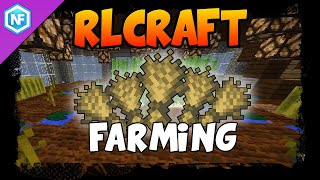 RL Craft Farming Guide [upl. by Ediva101]