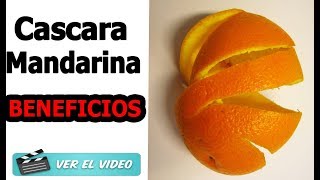 Conoce los Beneficios de la Cáscara De Mandarina y prepara cualquiera de estas 7 Recetas [upl. by Shandra]