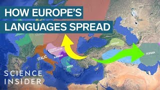 How IndoEuropean Languages Evolved [upl. by Nnazil]