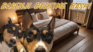 Basenji Bedtime Bash [upl. by Attikin454]