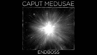 Caput Medusae  Endboss [upl. by Aylsworth942]