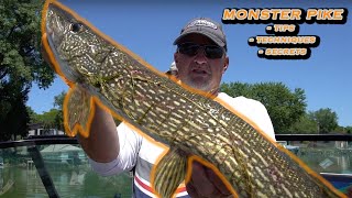 Summer Pike Fishing Tips [upl. by Malo]