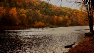 SHENANDOAHTraditional American Folk Song Performed by Tom Roush [upl. by Yovonnda]