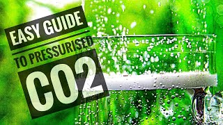 How to set up a pressurised CO2 kit  Full Tutorial [upl. by Fatsug]