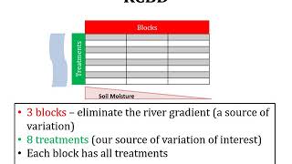 Lecture 19 Experimental Designs RCBD Randomized Complete Block Design ANOVA Two Way ANOVA [upl. by Eimmat]