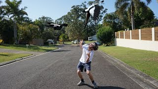 MAGPIES ATTACKED US  the swooping magpie challenge [upl. by Leynwad]