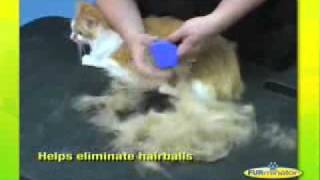 FURMINATOR DEMONSTRATION [upl. by Eybbob]