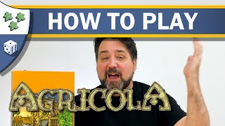 How to Play Agricola [upl. by Eniahpets]