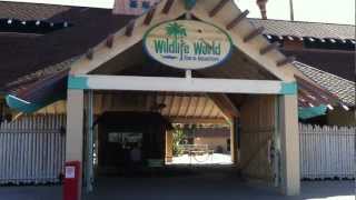 Wildlife World Zoo in Litchfield Park Arizona [upl. by Notgnirra230]