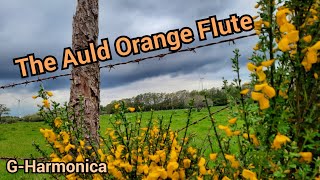 The Auld Orange Flute  Harmonica Tabs [upl. by Lorou]