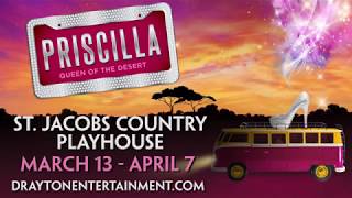 Priscilla Queen of the Desert [upl. by Charita]