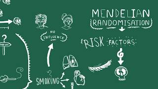 A two minute primer on mendelian randomisation [upl. by Ellevel]