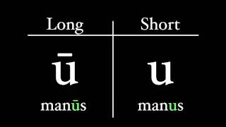 The Latin Alphabet  Vowel Pronunciation [upl. by Alletse]