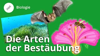 Arten der Bestäubung so vermehren sich Pflanzen – Biologie  Duden Learnattack [upl. by Anerhs450]