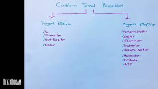 Canlıların Temel Bileşenleri İnorganik Bileşikler [upl. by Meilen]