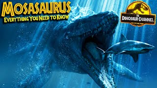 What Was The Mosasaurus  The Dinosaur Channel [upl. by Lindholm72]