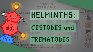 Helminths Cestodes and Trematodes transmission clinical importance and treatment [upl. by Heinrick]