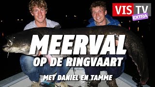 VIS TV Extra 47  Meerval [upl. by Sumahs]