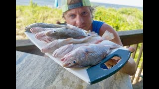 How to Catch Clean and Cook Croaker  Awesome Croaker Recipe [upl. by Vergos]