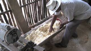 Manioc Flour [upl. by Bouchard]