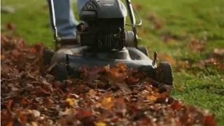 Lawn Care  Tips for Mulching Leaves [upl. by Virgie]