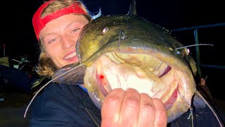 EPIC Flathead Catfishing  How to Use LIVE Bullheads as Bait [upl. by Ttehc]