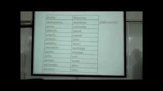 INTRO TO HUMAN ANATOMY PART 2 by Professor Fink [upl. by Aihsekyw]