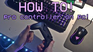 How To PROPERLY Setup The Nintendo Switch Pro Controller on PC [upl. by Asserac]