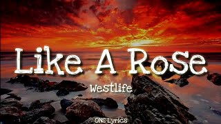 A1  Like A Rose Lyrics [upl. by Assiron]