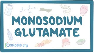 Monosodium glutamate [upl. by Cailean]