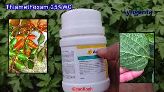 ACTARA  Thiamethoxam 25wg  Syngenta [upl. by Ecitnirp]