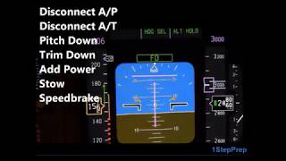 B737NG Stalls Explained [upl. by Everard]