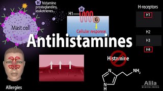 Histamine and Antihistamines Pharmacology Animation [upl. by Ahsirpac95]