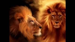 The Lion of Judah is Roaring [upl. by Enyalaj]