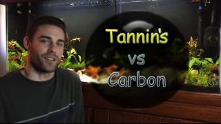 Tannins Carbon Planted Aquarium How effective is GAC and should you use it [upl. by Tiffanle710]