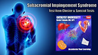 Test Item Cluster  Subacromial Impingement Syndrome EXPLAINED [upl. by Nahtonoj]