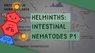 Helminths Intestinal Nematodes Part 1 features clinical importance diagnosis treatment [upl. by Lette]