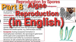 Algae Lecture 8  Reproduction in Algae [upl. by Anstus]