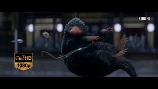 Newt catching Niffler Full HD 1080p [upl. by Janet]