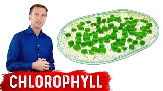 9 Proven Benefits of Chlorophyll [upl. by Myrtice393]