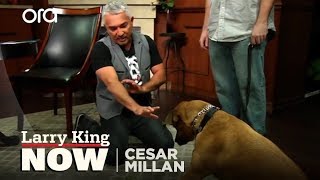 Cesar Millan on How He Became the Dog Whisperer  Tips amp Tricks [upl. by Imugem970]