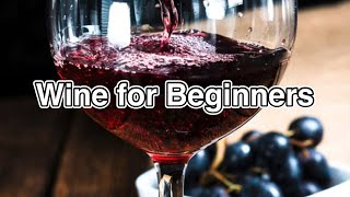 Wine for Beginners 美味葡萄酒简介） [upl. by Albemarle]