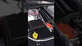 Dodge Charger Hellcat Supercharger Sound [upl. by Cheffetz]