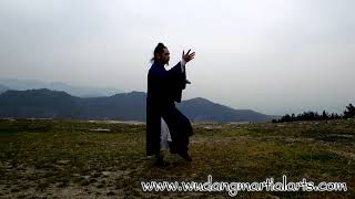 Wudang Tai Chi 108 by Master Chen Shiyu [upl. by Ardnuek]