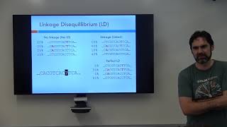 Linkage Disequilibrium [upl. by Bibbie]