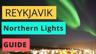 How to See the Northern Lights in Reykjavik [upl. by Anowahs]