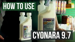 How to use Cyonara 97 Insecticide for Ants and Roaches [upl. by Ecneitap]