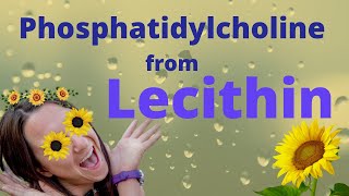 Phosphatidylcholine from Lecithin Brain SUPER Food [upl. by Akahs]