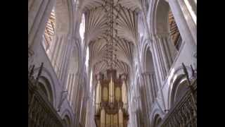 The History of Norwich Cathedral [upl. by Dewees]